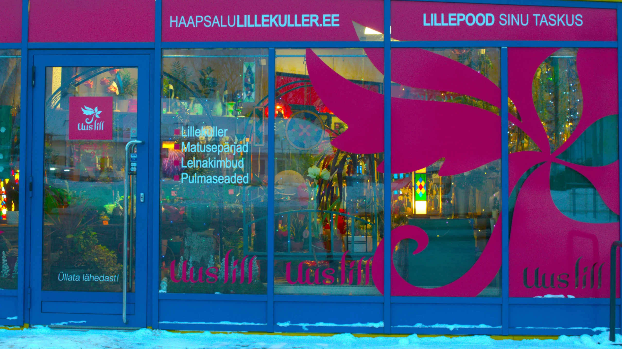 Lillepood UUS LILL haapsalu 8 - Lillepood UUS LILL