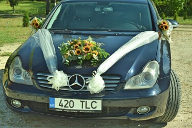 Pulmad Haapsalus svg+xml,%3Csvg%20xmlns%3D%22http%3A%2F%2Fwww.w3 - Pulmad Haapsalus