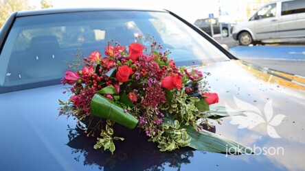 Pulmad Haapsalus svg+xml,%3Csvg%20xmlns%3D%22http%3A%2F%2Fwww.w3 - Pulmad Haapsalus