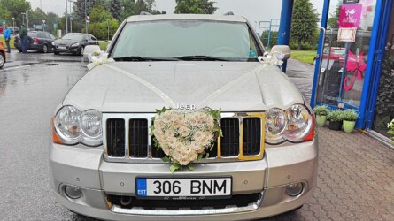 Pulmad Haapsalus svg+xml,%3Csvg%20xmlns%3D%22http%3A%2F%2Fwww.w3 - Pulmad Haapsalus