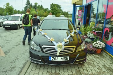 Pulmad Haapsalus svg+xml,%3Csvg%20xmlns%3D%22http%3A%2F%2Fwww.w3 - Pulmad Haapsalus