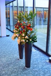 Pulmad Haapsalus svg+xml,%3Csvg%20xmlns%3D%22http%3A%2F%2Fwww.w3 - Pulmad Haapsalus