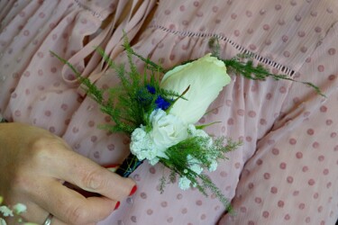 Pulmad Haapsalus svg+xml,%3Csvg%20xmlns%3D%22http%3A%2F%2Fwww.w3 - Pulmad Haapsalus