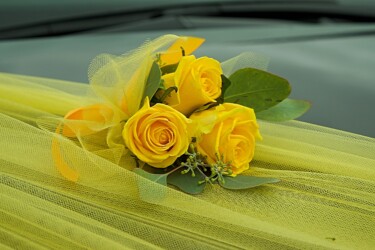 Pulmad Haapsalus svg+xml,%3Csvg%20xmlns%3D%22http%3A%2F%2Fwww.w3 - Pulmad Haapsalus