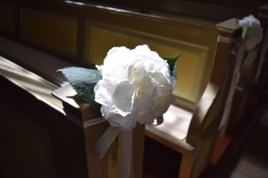 Pulmad Haapsalus svg+xml,%3Csvg%20xmlns%3D%22http%3A%2F%2Fwww.w3 - Pulmad Haapsalus