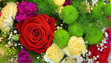 Pulmad Haapsalus svg+xml,%3Csvg%20xmlns%3D%22http%3A%2F%2Fwww.w3 - Pulmad Haapsalus