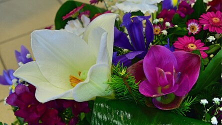 Pulmad Haapsalus svg+xml,%3Csvg%20xmlns%3D%22http%3A%2F%2Fwww.w3 - Pulmad Haapsalus