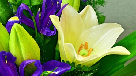 Pulmad Haapsalus svg+xml,%3Csvg%20xmlns%3D%22http%3A%2F%2Fwww.w3 - Pulmad Haapsalus