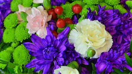 Pulmad Haapsalus svg+xml,%3Csvg%20xmlns%3D%22http%3A%2F%2Fwww.w3 - Pulmad Haapsalus