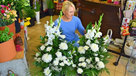 Pulmad Haapsalus svg+xml,%3Csvg%20xmlns%3D%22http%3A%2F%2Fwww.w3 - Pulmad Haapsalus