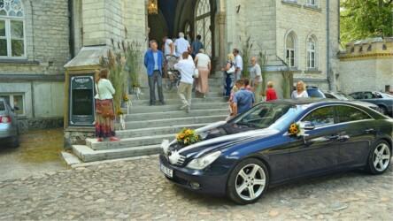 Pulmad Haapsalus svg+xml,%3Csvg%20xmlns%3D%22http%3A%2F%2Fwww.w3 - Pulmad Haapsalus