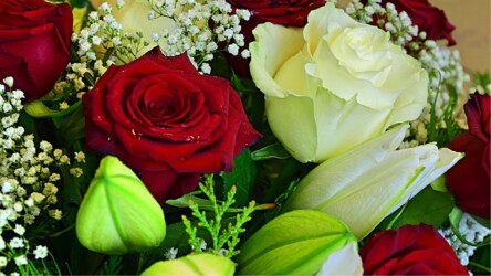 Pulmad Haapsalus svg+xml,%3Csvg%20xmlns%3D%22http%3A%2F%2Fwww.w3 - Pulmad Haapsalus