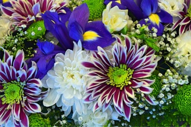 Pulmad Haapsalus svg+xml,%3Csvg%20xmlns%3D%22http%3A%2F%2Fwww.w3 - Pulmad Haapsalus