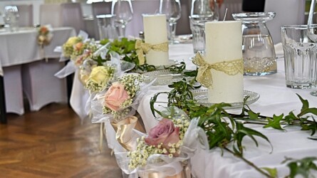 Pulmad Haapsalus svg+xml,%3Csvg%20xmlns%3D%22http%3A%2F%2Fwww.w3 - Pulmad Haapsalus