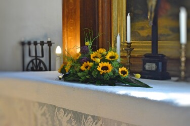 Pulmad Haapsalus svg+xml,%3Csvg%20xmlns%3D%22http%3A%2F%2Fwww.w3 - Pulmad Haapsalus