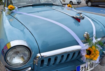 Pulmad Haapsalus svg+xml,%3Csvg%20xmlns%3D%22http%3A%2F%2Fwww.w3 - Pulmad Haapsalus