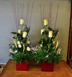 Pulmad Haapsalus svg+xml,%3Csvg%20xmlns%3D%22http%3A%2F%2Fwww.w3 - Pulmad Haapsalus