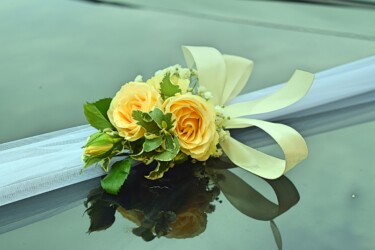 Pulmad Haapsalus svg+xml,%3Csvg%20xmlns%3D%22http%3A%2F%2Fwww.w3 - Pulmad Haapsalus