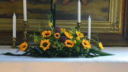 Pulmad Haapsalus svg+xml,%3Csvg%20xmlns%3D%22http%3A%2F%2Fwww.w3 - Pulmad Haapsalus