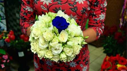 Pulmad Haapsalus svg+xml,%3Csvg%20xmlns%3D%22http%3A%2F%2Fwww.w3 - Pulmad Haapsalus