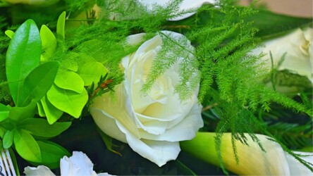 Pulmad Haapsalus svg+xml,%3Csvg%20xmlns%3D%22http%3A%2F%2Fwww.w3 - Pulmad Haapsalus