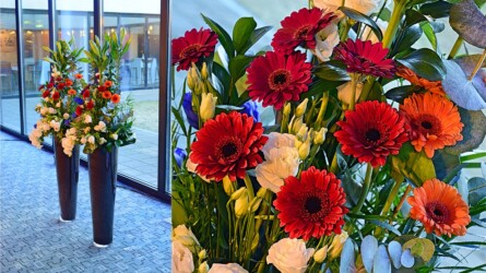 Pulmad Haapsalus svg+xml,%3Csvg%20xmlns%3D%22http%3A%2F%2Fwww.w3 - Pulmad Haapsalus