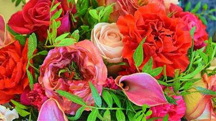 Pulmad Haapsalus svg+xml,%3Csvg%20xmlns%3D%22http%3A%2F%2Fwww.w3 - Pulmad Haapsalus