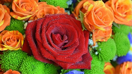 Pulmad Haapsalus svg+xml,%3Csvg%20xmlns%3D%22http%3A%2F%2Fwww.w3 - Pulmad Haapsalus