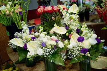 Pulmad Haapsalus svg+xml,%3Csvg%20xmlns%3D%22http%3A%2F%2Fwww.w3 - Pulmad Haapsalus