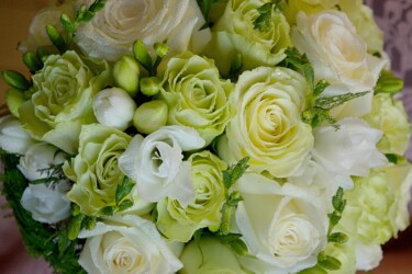 Pulmad Haapsalus svg+xml,%3Csvg%20xmlns%3D%22http%3A%2F%2Fwww.w3 - Pulmad Haapsalus