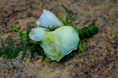 Pulmad Haapsalus svg+xml,%3Csvg%20xmlns%3D%22http%3A%2F%2Fwww.w3 - Pulmad Haapsalus