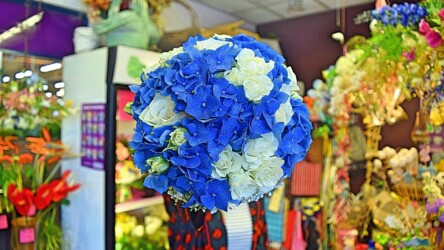 Pulmad Haapsalus svg+xml,%3Csvg%20xmlns%3D%22http%3A%2F%2Fwww.w3 - Pulmad Haapsalus