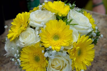 Pulmad Haapsalus svg+xml,%3Csvg%20xmlns%3D%22http%3A%2F%2Fwww.w3 - Pulmad Haapsalus