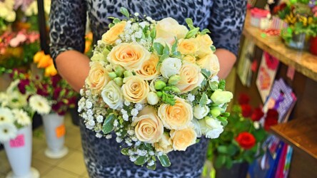 Pulmad Haapsalus svg+xml,%3Csvg%20xmlns%3D%22http%3A%2F%2Fwww.w3 - Pulmad Haapsalus