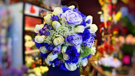 Pulmad Haapsalus svg+xml,%3Csvg%20xmlns%3D%22http%3A%2F%2Fwww.w3 - Pulmad Haapsalus