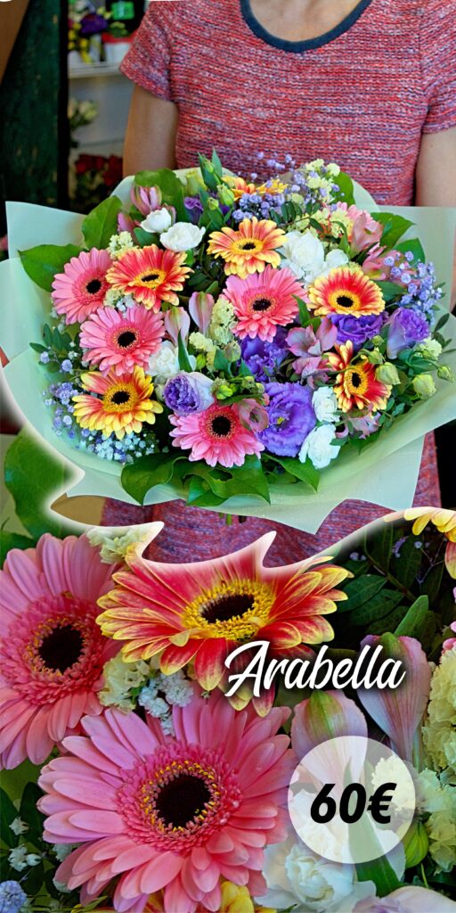 Arabella 512x1024 - Haapsalu Lillekuller
