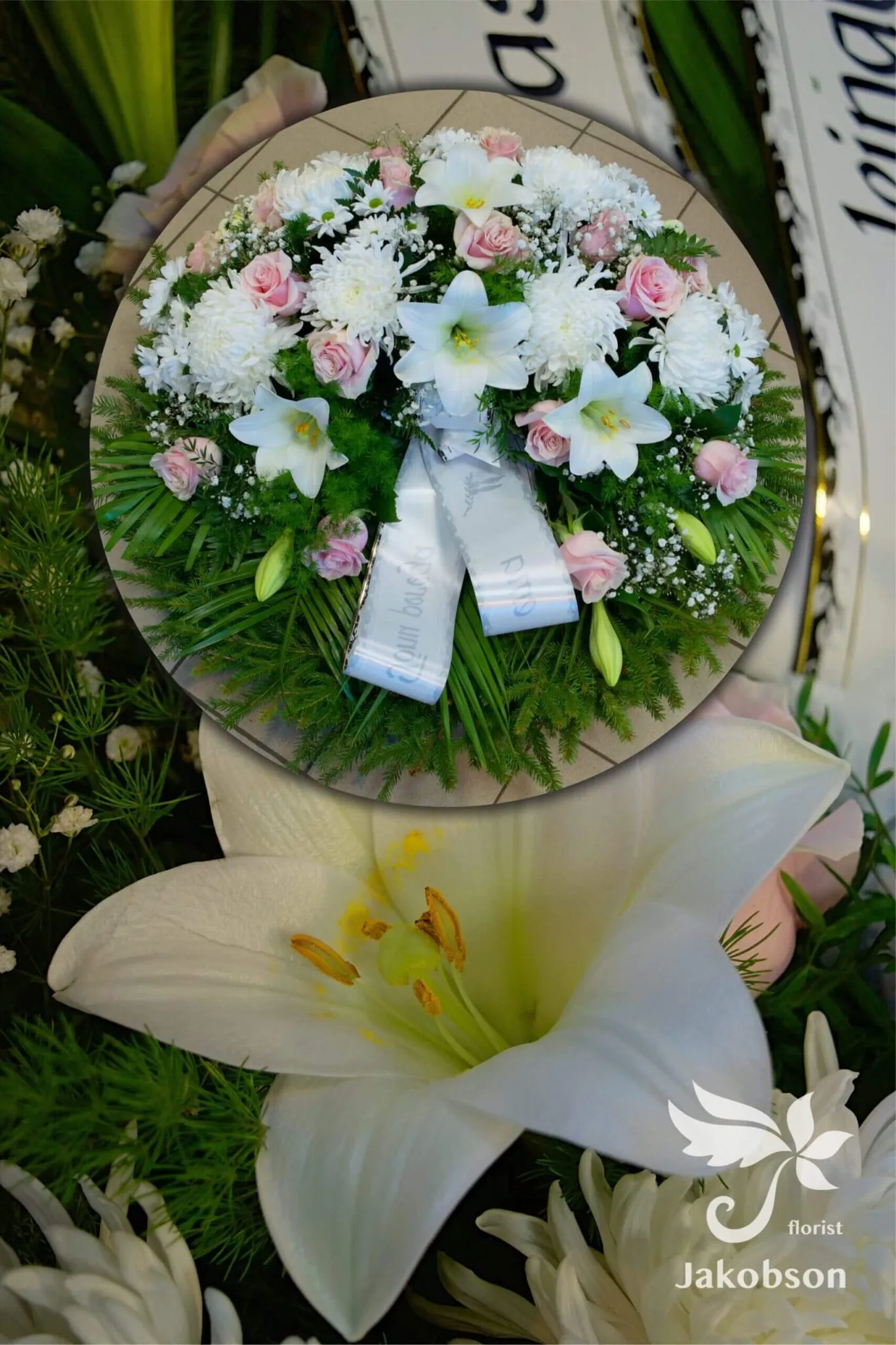 Canopus - Matusepärjad kuuseokstega