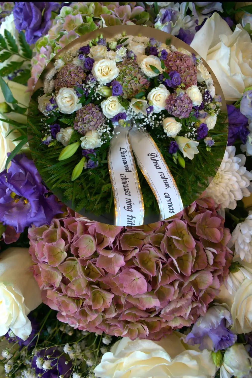 Premiumpärjad Haapsalus Leo - Premiumpärjad Haapsalus